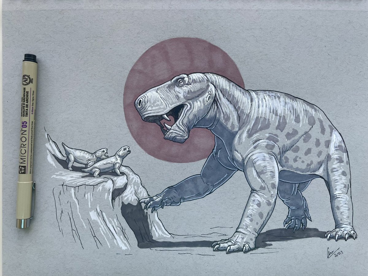 Small but feisty!

A pair of small dicynodonts Elph borealis defending their nearby burrow from a huge Inostrancevia. Late Permian. Day 13 of my Ink-marker sketches