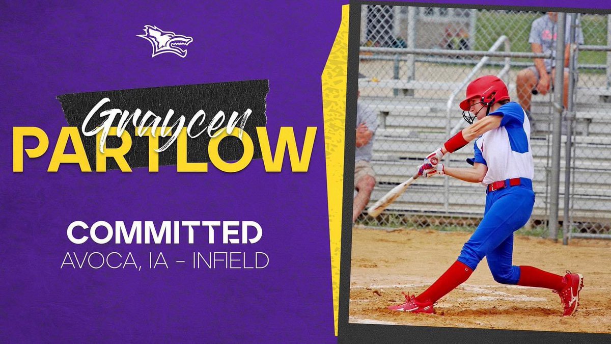 Lady Vikes Softball tweet media