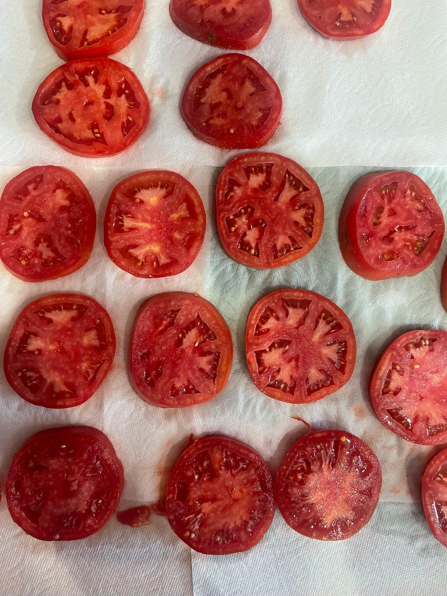 Hurry, Utah! Tomato season is slipping away! 🌿 Visit local farm stands for the juiciest, ripest tomatoes before they're gone.