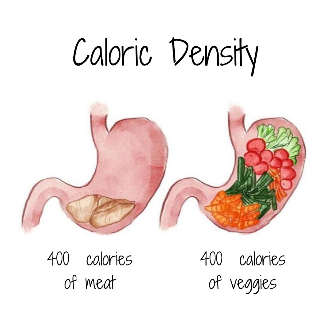 HealthFitVegan's tweet photo. Stretch receptors are located throughout the stomach, and they play a role in regulating feelings of fullness and satiety. With high fiber, whole plant foods, you can eat the most quantity for the least amount of calories. 

#GoVegan #veganpower #veganfood #veganism #veganlife https://t.co/ts4O3Famrq
