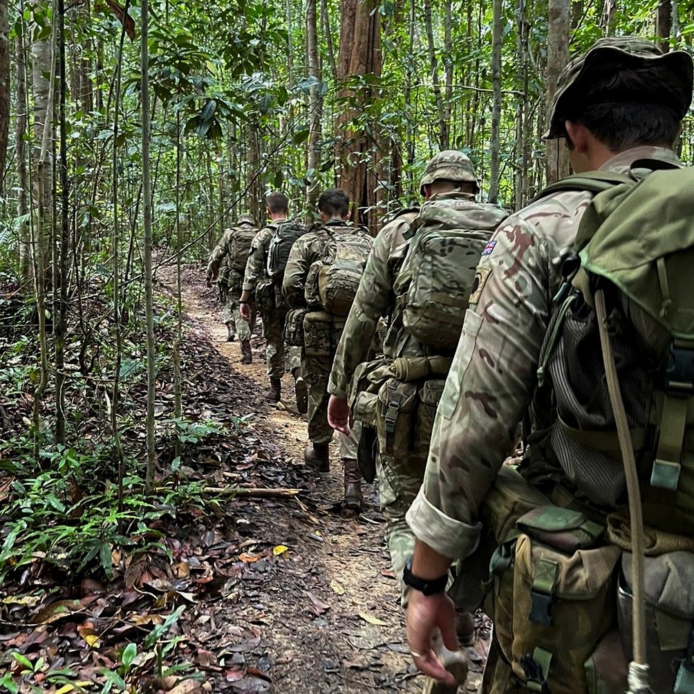 The Light Dragoons tweet media