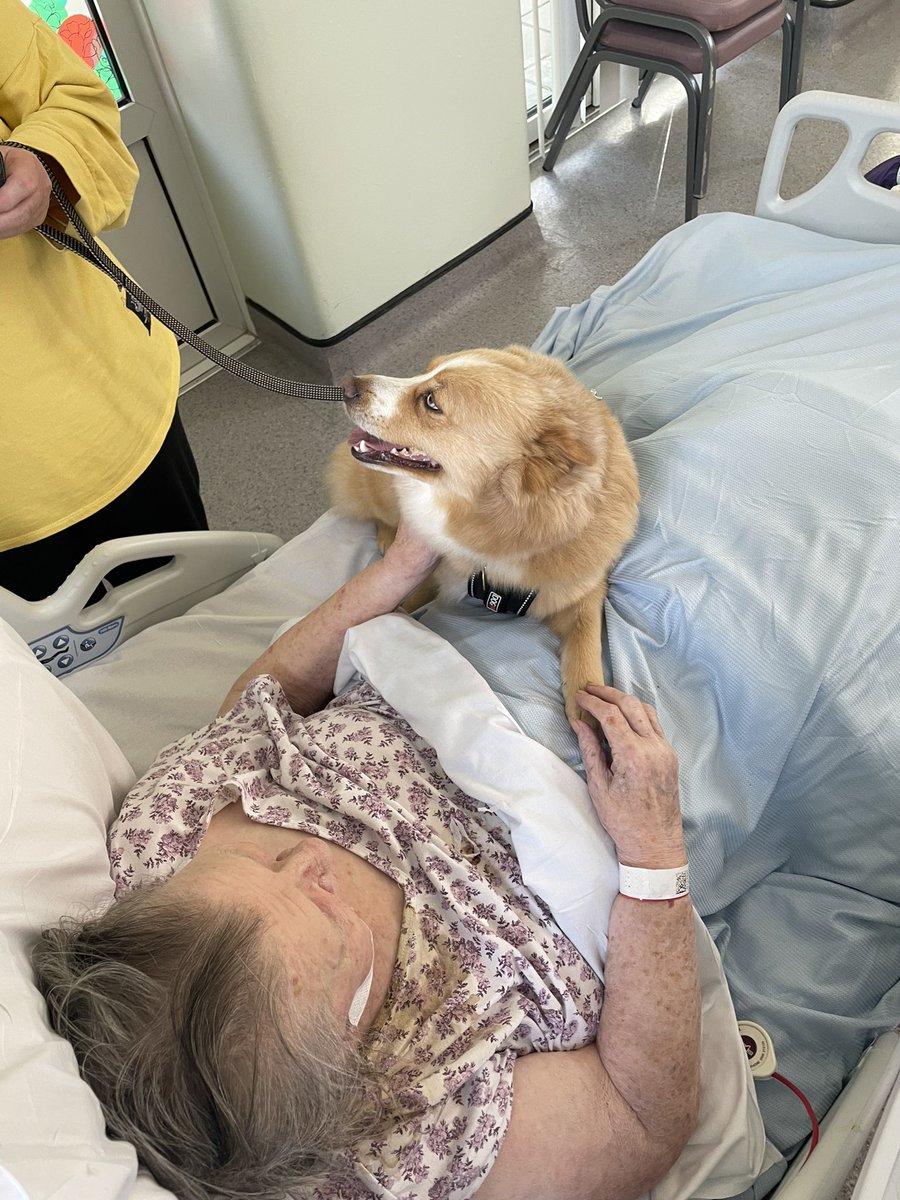 Elizabeth Anderson tweet media