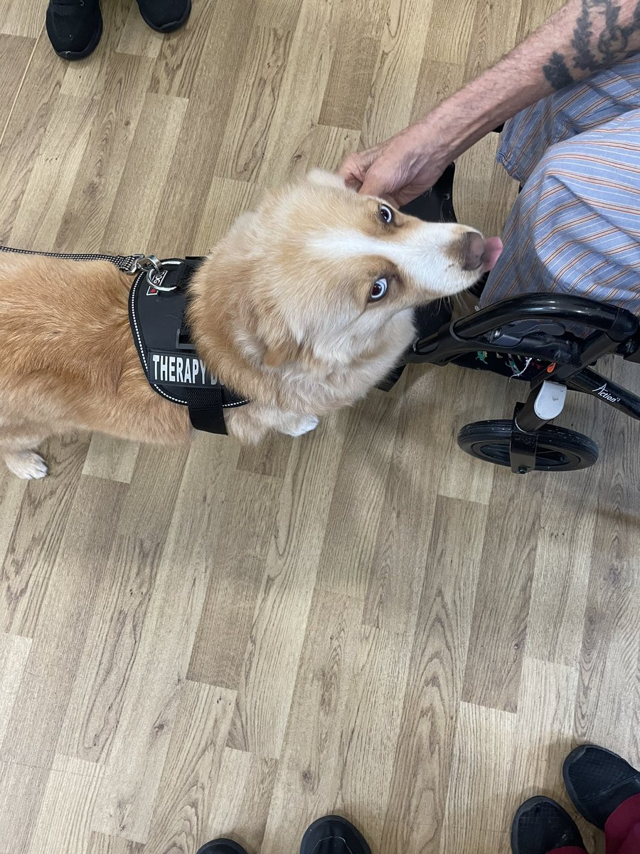 Elizabeth Anderson tweet media