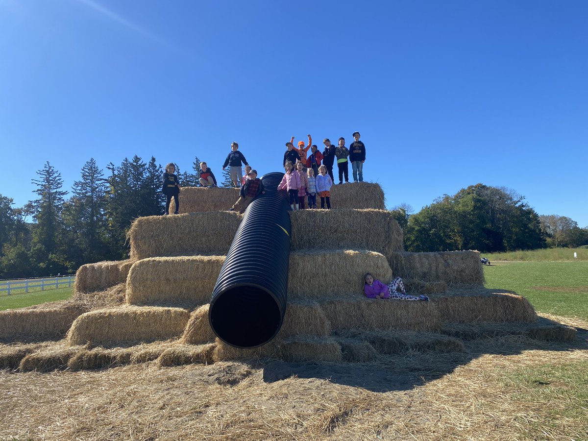 CalifonStrong's tweet photo. ๐ K-2 kiddos had a blast at the farm
#califonrocks #fieldtrips #welovefall https://t.co/TbMBdPpmWd