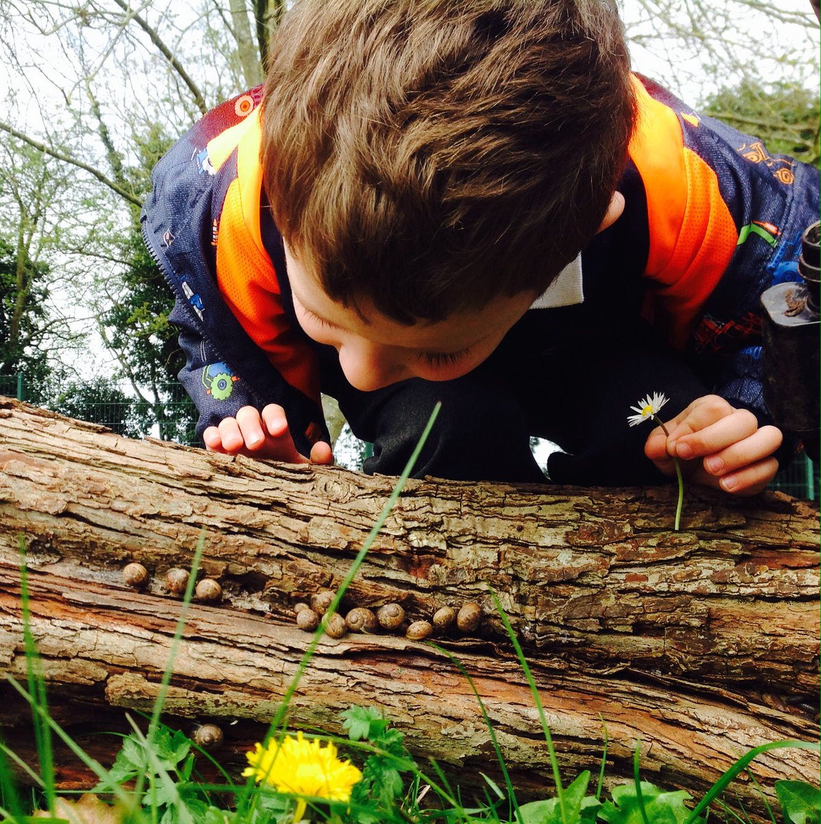 SunnysideSA's tweet photo. Happy #ForestSchoolDay! 🍂🐿️ @satrust_ @CreativeSTAR  @Muddyfaces @cosy https://t.co/BEsEQzcyoc