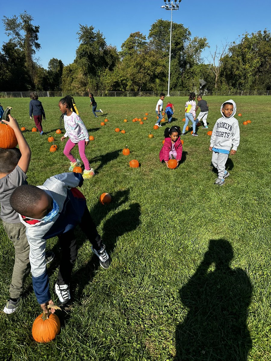 Casie Olson tweet media