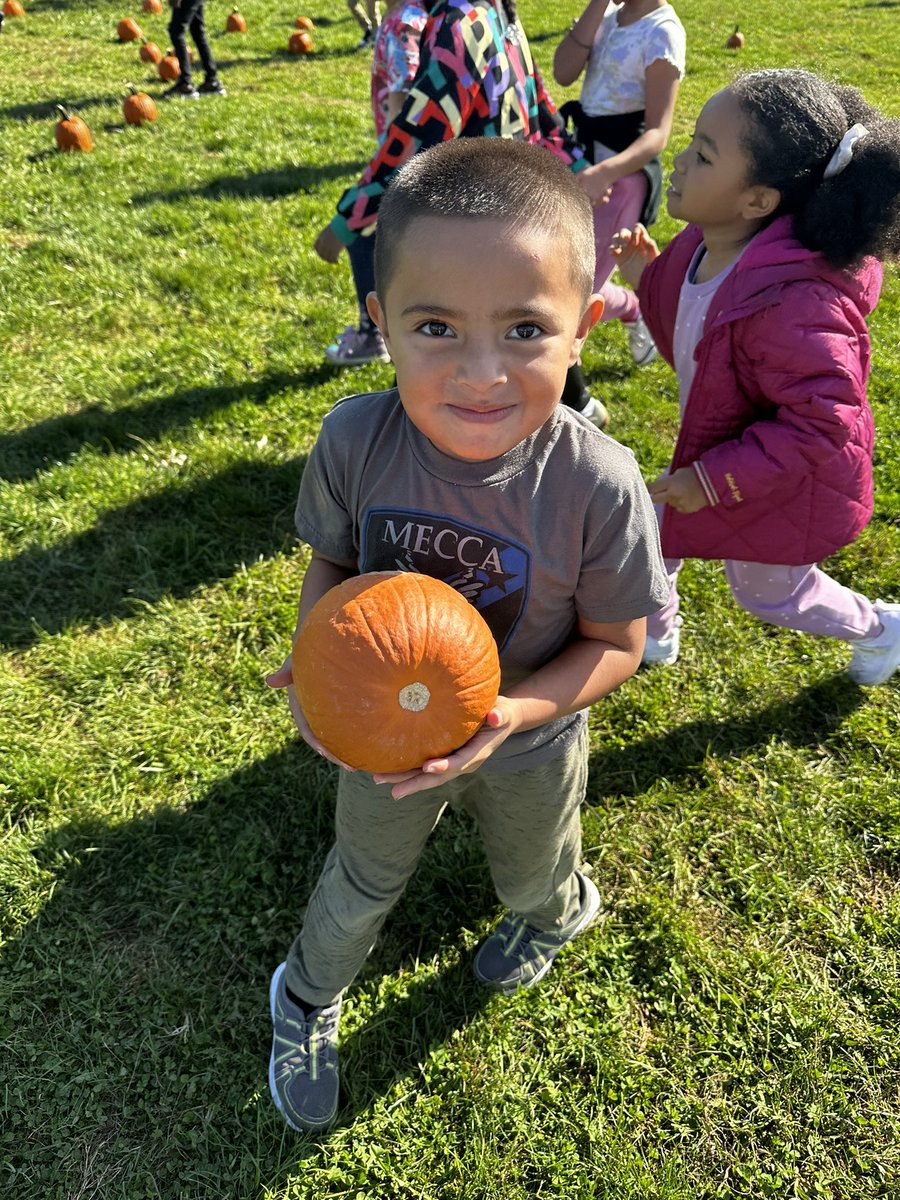 Casie Olson tweet media