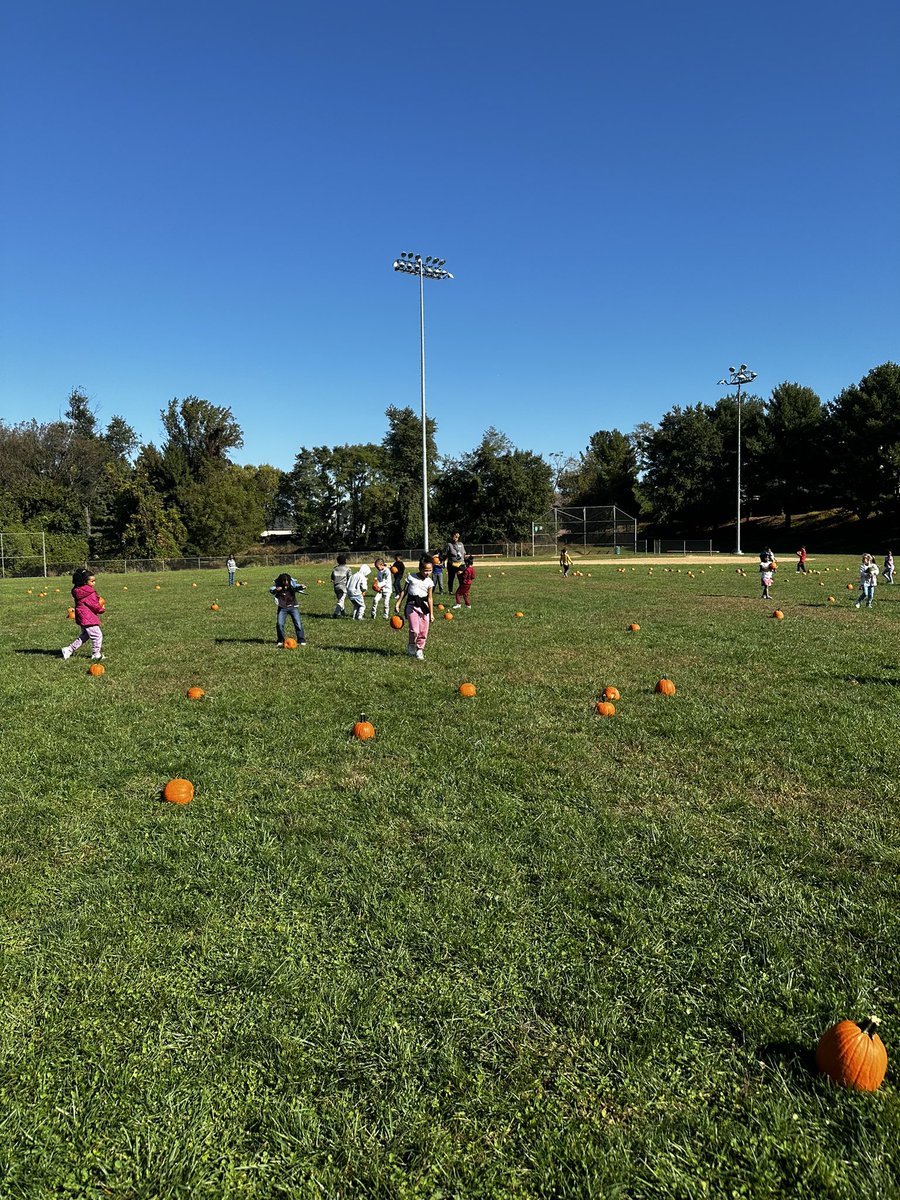 Casie Olson tweet media