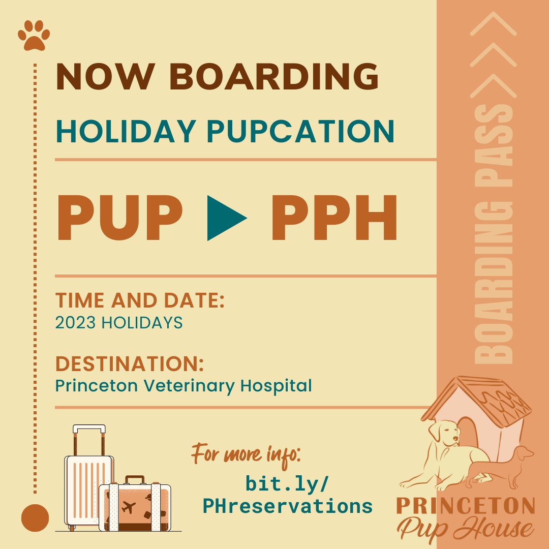 Princeton Veterinary Hospital tweet media
