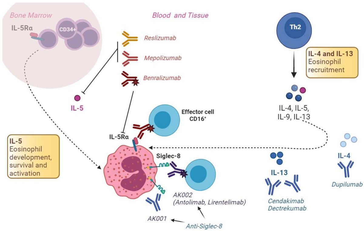 giomara89's tweet photo. Our new overview on novel therapies for EGIDs!
 
https://t.co/jJHZJQo8gM https://t.co/joARZGvLmi
