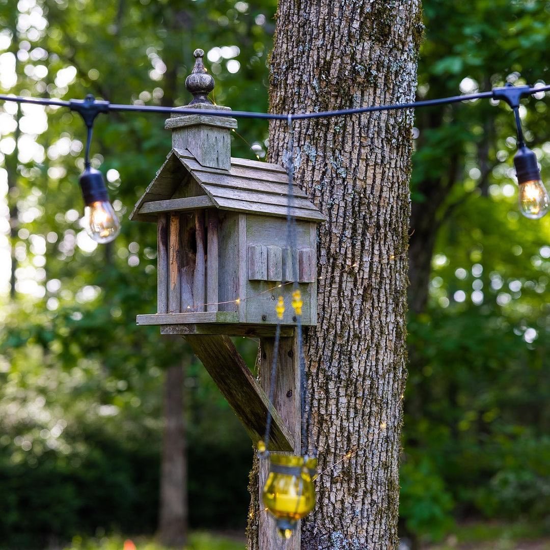 Spellbound615's tweet image. Surprises around every corner 🧚 The grounds at Spellbound are just so magical 💫