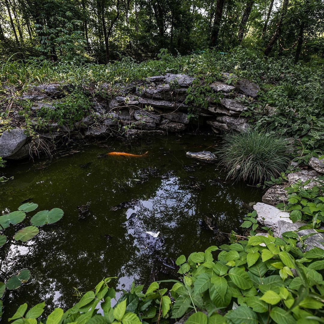 Spellbound615's tweet image. Surprises around every corner 🧚 The grounds at Spellbound are just so magical 💫