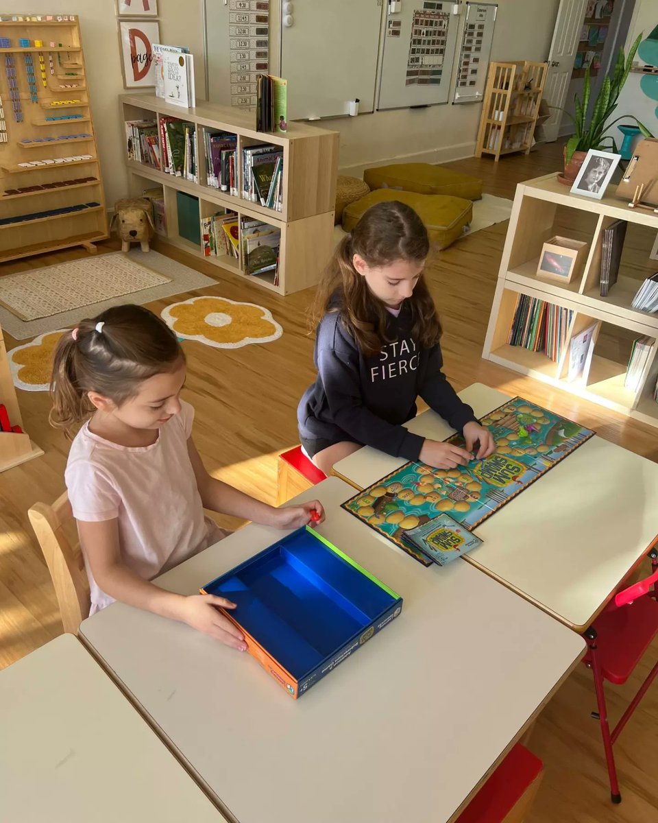 meridian_micro's tweet image. Why do so many schools separate children by single age and grade?
Read more: instagram.com/p/CyWBcnrrHnx/
#schoolbeyondstandards #multiagelearning #educationforlife