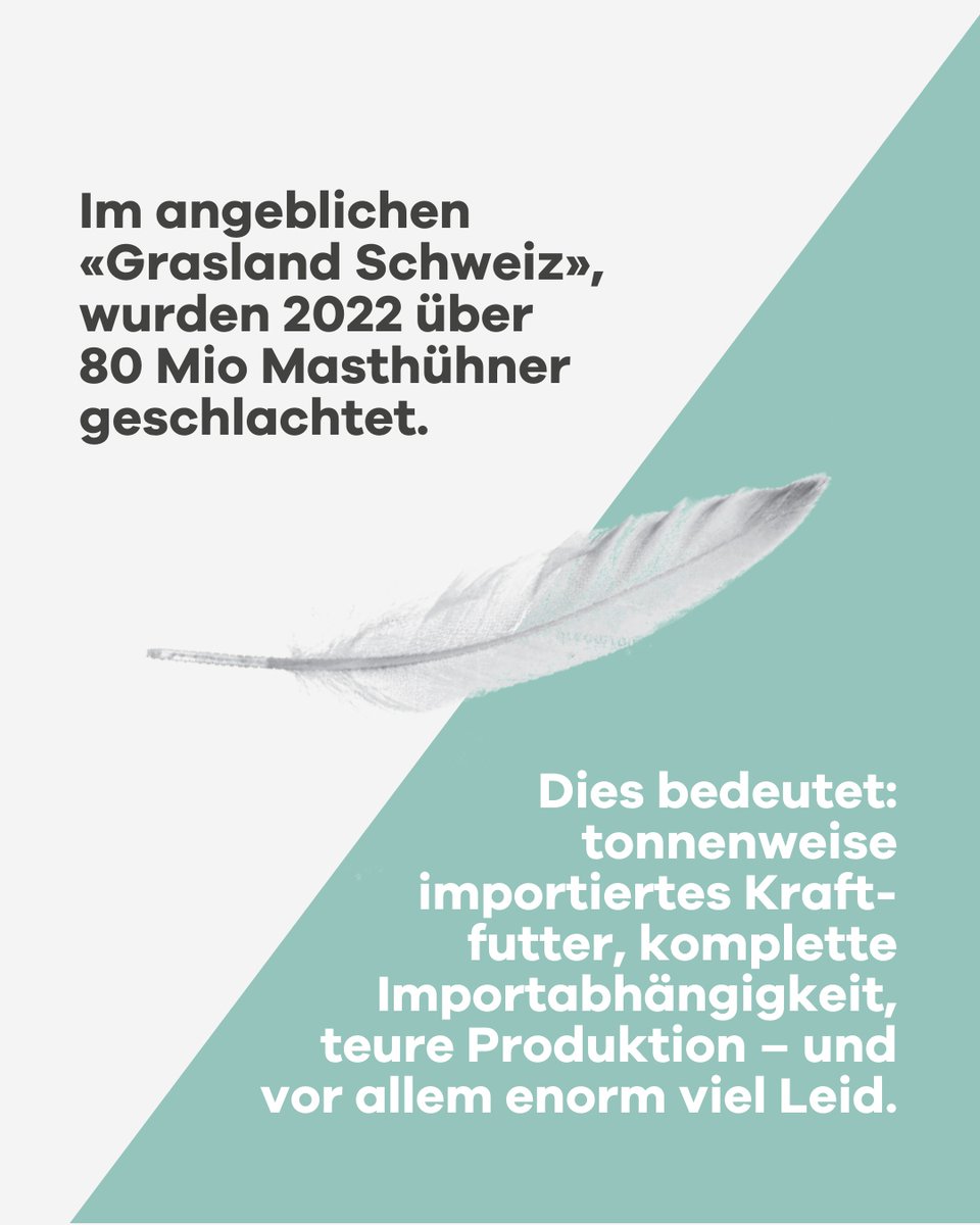 Sentience – Politik für Tiere tweet media