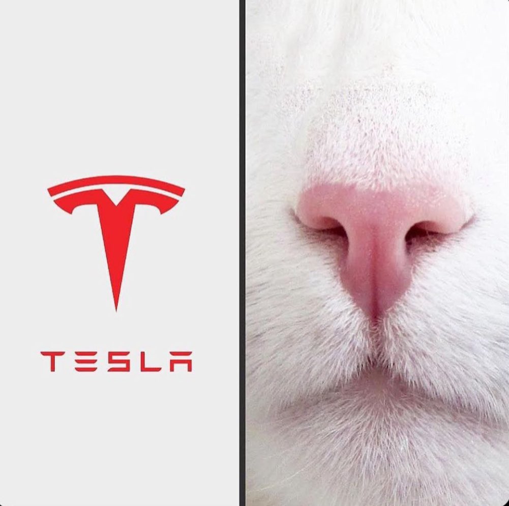 Manni Talks tweet media