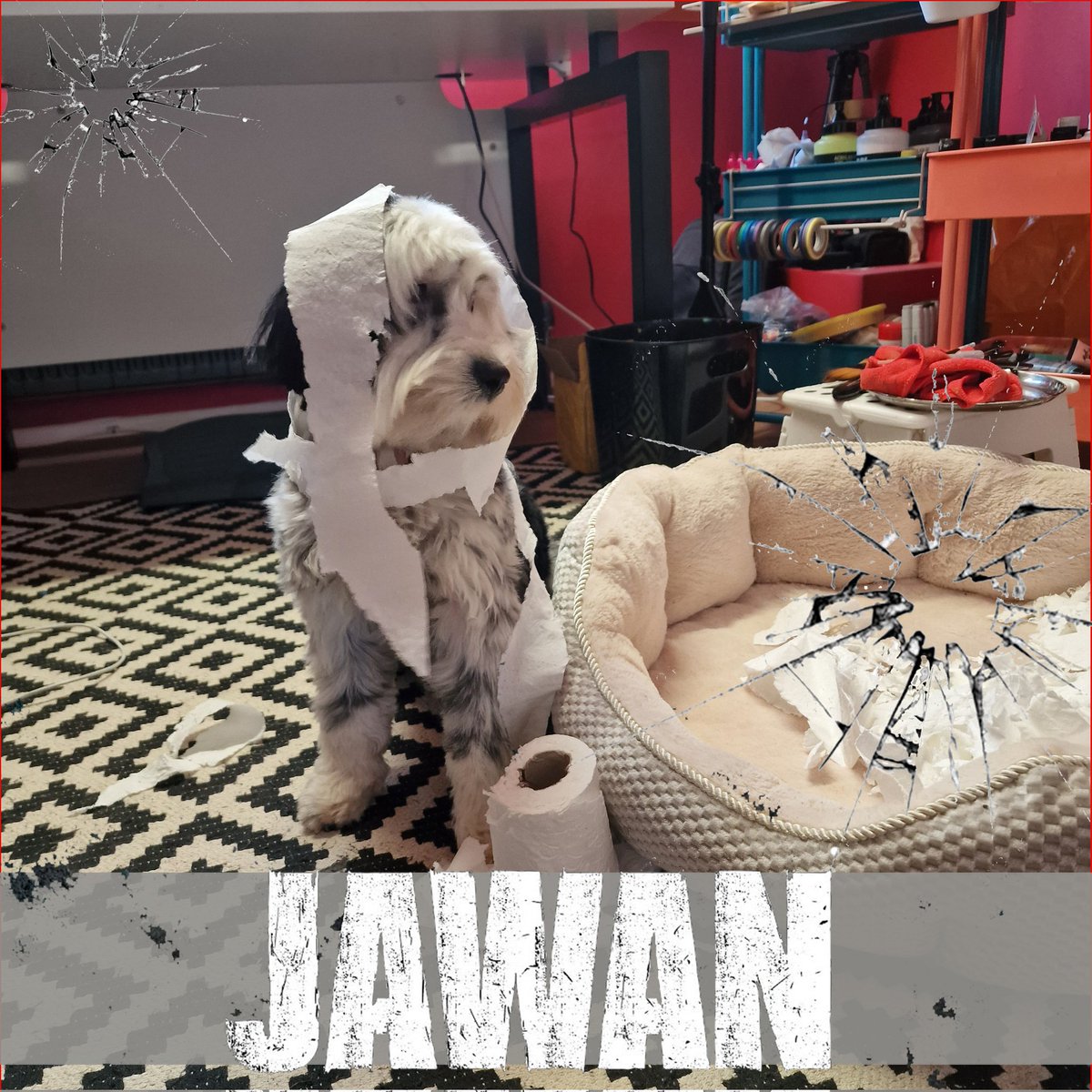 Spherical Thoughts tweet media