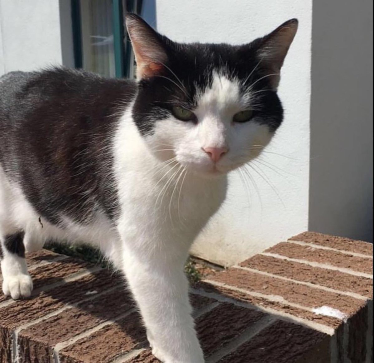 Love this photo of my beautiful boy ❤️