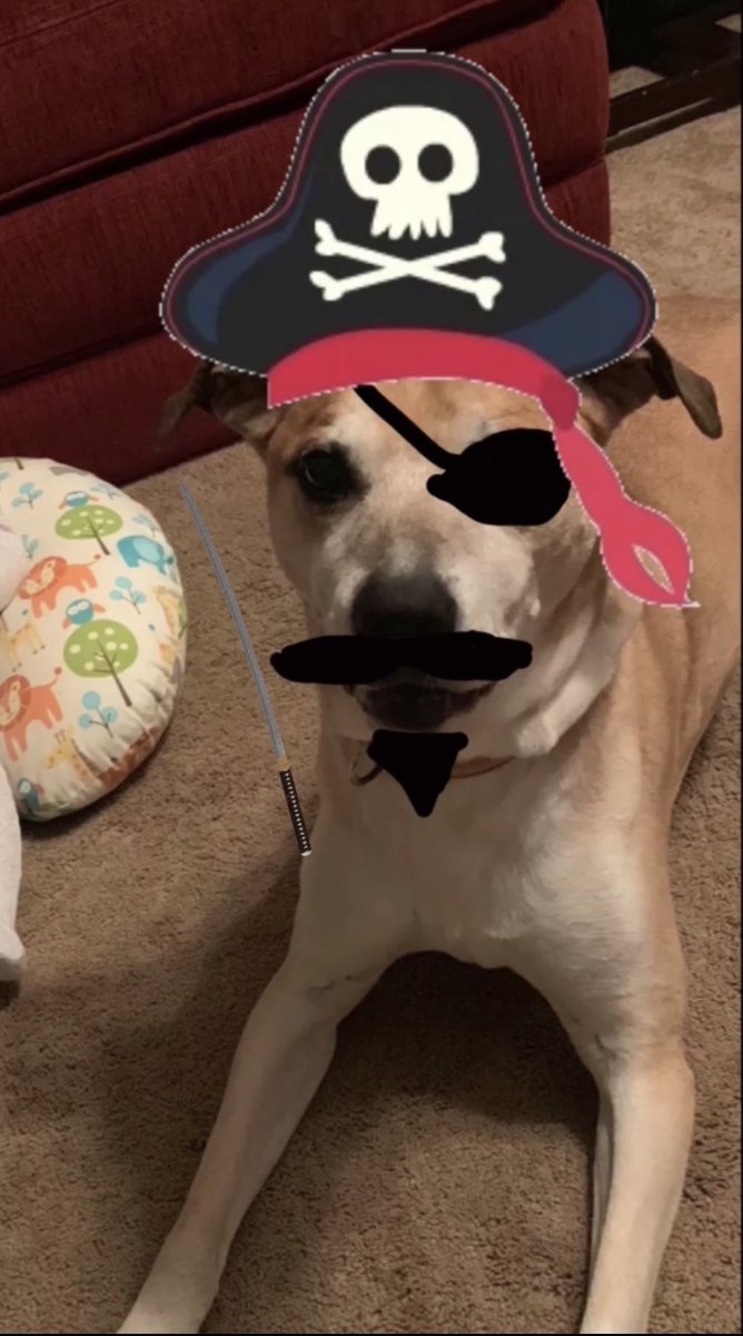 bayouthedog's tweet photo. AHOY ME MATEYS. ARGGGHHHH YOU READY FOR TONIGHTS GAME?? WE SHALL WATCH THE FONDA FULTONVILLE FOOTBALL TEAM STEAL THE BOOTY FROM THE OTHER TEAM, AND WATCH THEM WALK THE PLANK. #WOOOOOOOOOF https://t.co/2RtJkG1e3T