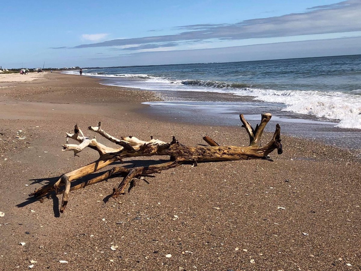 York 1 Jobs tweet media