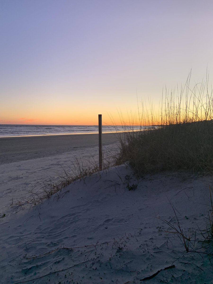 Would you have enjoyed four days off right now to refresh and renew yourself? We have some potential job opening positions posted and we would love to hear from you!  #connectedasONE #YorkONEwon  yorksd1.tedk12.com/hire/index.aspx