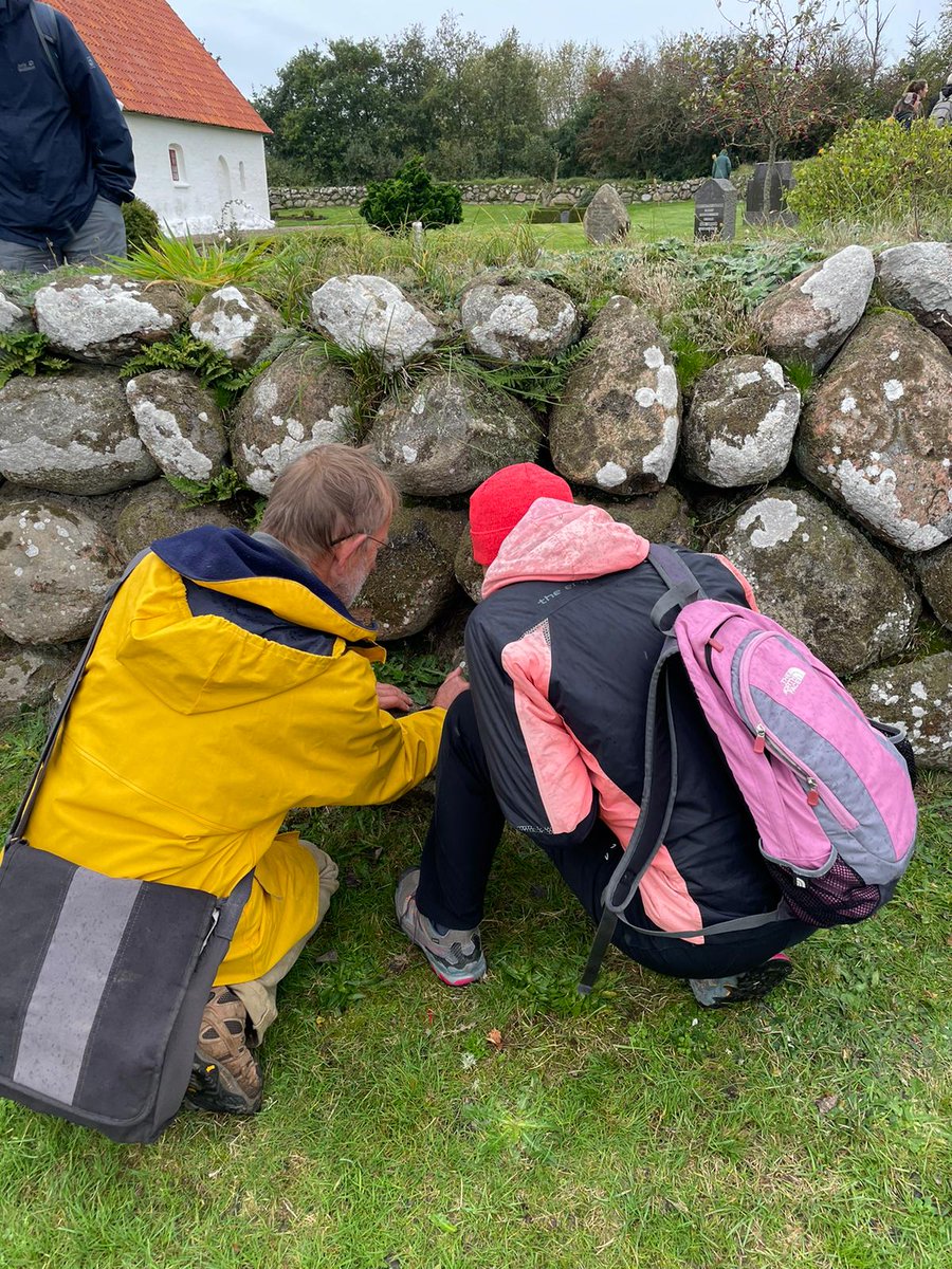 AnnaPasinat0's tweet photo. Enjoying #lichens and lichen people in #Denmark.
So amazing to learn about #nordic_lichens #biodiversity in the field and share #Researchwork on #RiPP biosinthetic genes!
#nordiclichensociety
#cladonia #peltigera #thelotrema_lepadinum https://t.co/Zo9bj9ix3y