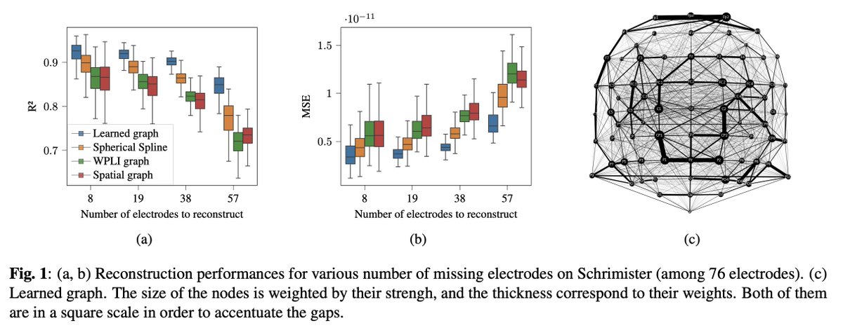 brain_GSP's tweet photo. 🧠graph: EEG

🧠graph signals: EEG

Application: electrode interpolation for harmonising EEG datasets 

Paper: https://t.co/e1mjLGEROi

#brainGSP #bgsp #eeg_bgsp #gsp_graph_learninng https://t.co/JPmf8AsMAM
