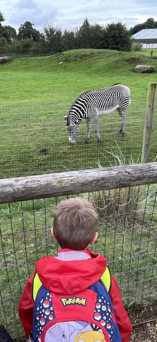 EastfieldPSHull's tweet photo. Year 1 @YorkshireWP #1AW https://t.co/4zt6Dpwycn