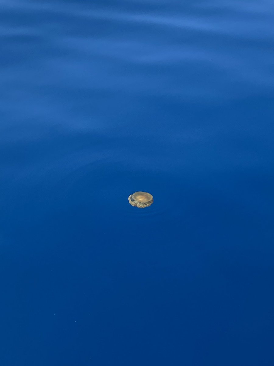 begaddd's tweet photo. Perdu dans la mère 🌊 https://t.co/RKyFjNSCIl