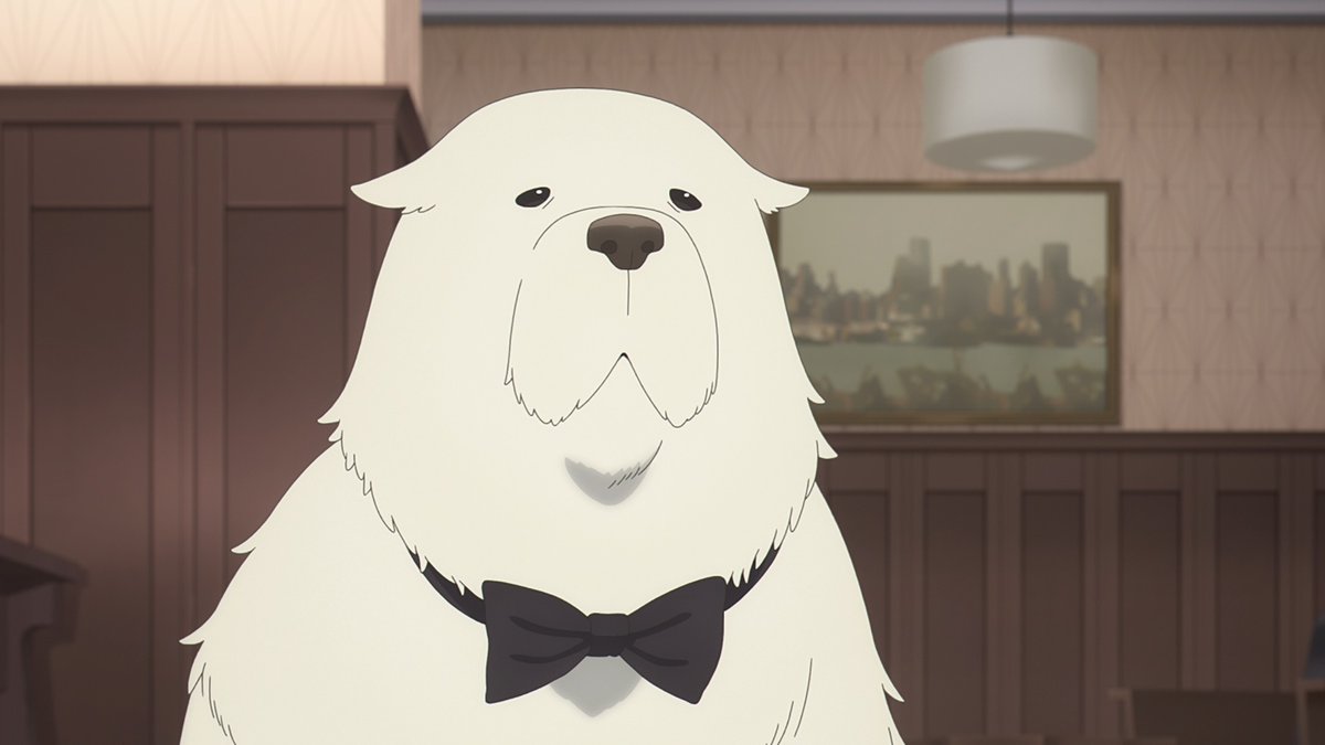 spyfamily_anime's tweet photo. ／

MISSION:27
「ボンドの生存戦略」
「ダミアンの野外学習」

本日23時00分より
テレビ東京系列他にて放送🎉✨

＼

放送に先駆け新規カットを公開‼️

新規カットは ボンドです🐶✨
ぜひハッシュタグ #ボンド を付けて
一緒に盛り上がりましょう👏👏

#SPY_FAMILY
#スパイファミリー
#SPYリアタイ https://t.co/JxQcbbKgnW
