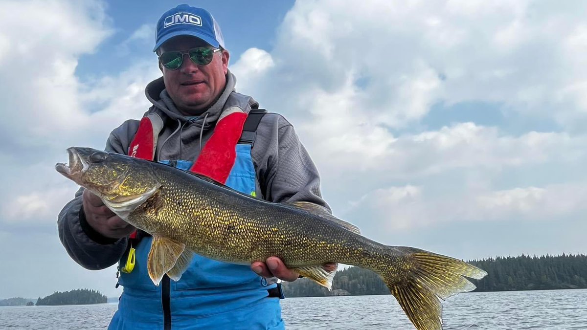 We are on the home stretch of some of the best fishing of the year.  Big baits/ Big Fish.  What are your plans for fishing this fall?  Share your best memories below. #fishing #walleye #fishtips