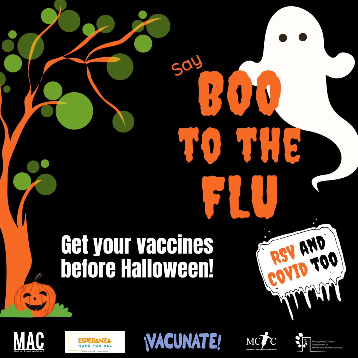 MexAmCouncil tweet media