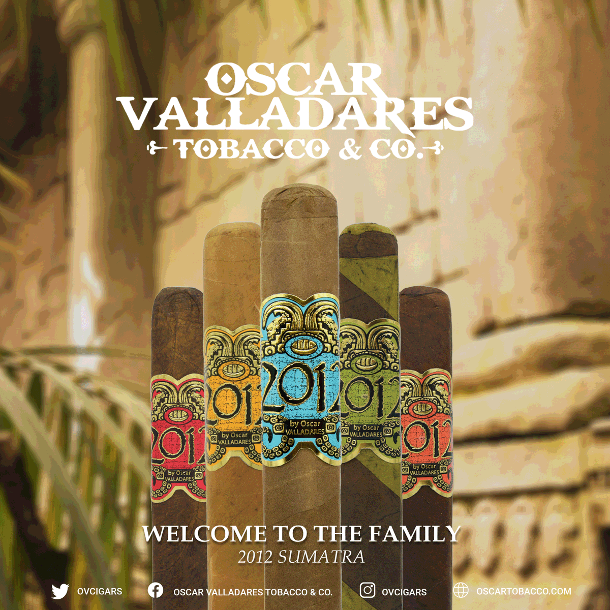 ovcigars's tweet photo. 2012 by Oscar Valladares. Choose the one that will satisfy your cravings📷
•
•
Find yours at your local tobacconist !!
#ovcigars #oscarcigar #2012family https://t.co/63gV9A3Vg1