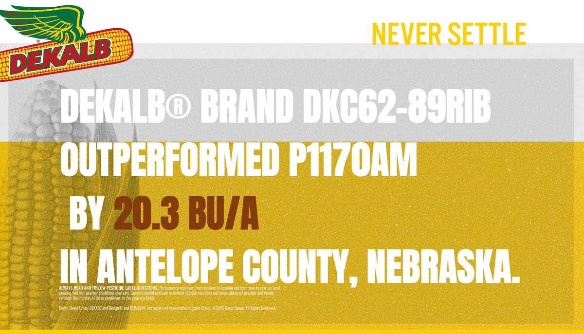 Check out these irrigated yield results from Antelope County in NE Nebraska!  Mr. Consistent DKC62-89RIB has a proven yield history over multiple years &amp; in 2023 that trend continues!
.
#Bayer4NE #NeverSettle #SuccessStartsHere #harvest23
.
<a href="/Asgrow_DEKALB/">DEKALB Asgrow Seed</a>