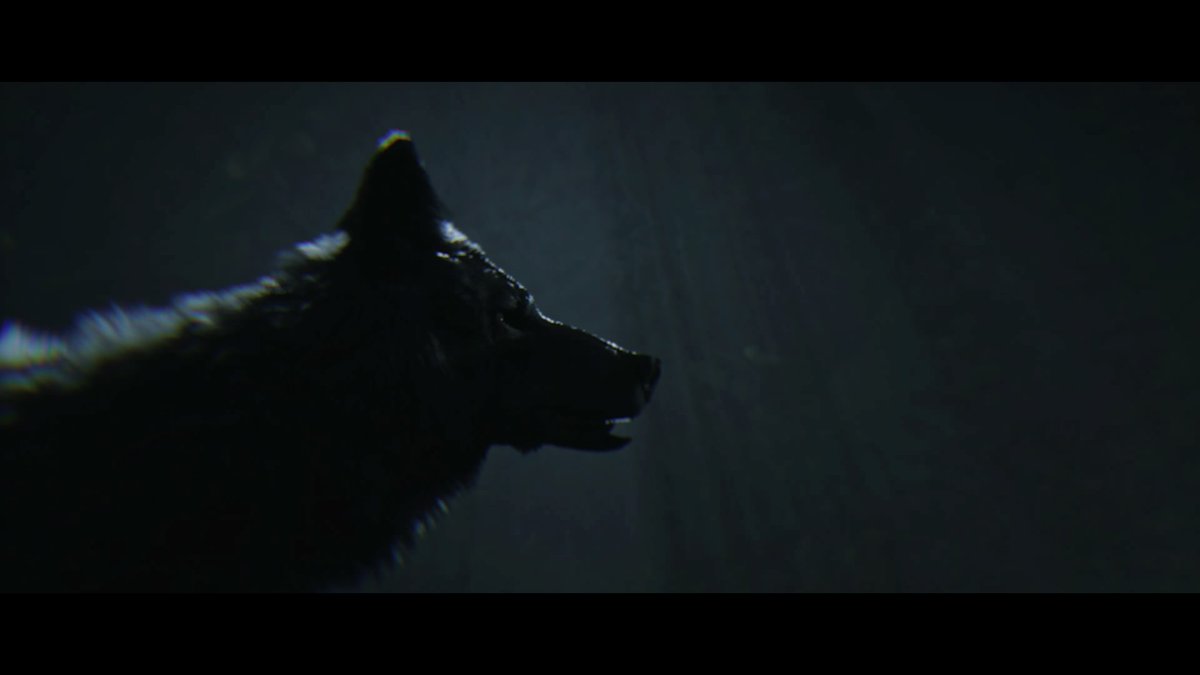 Der Hundefan alias Playa tweet media