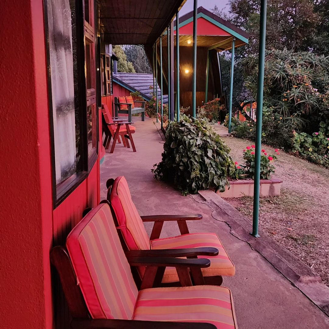 wesabiwaka's tweet photo. There's a hidden garden somewhere in the hidden kingdom of Eswatini, down down southern Africa.
#touroperator #travel #visa #travelagency #travelagent #visaapplication #canada #visaassistance 
📷: @YvonneMtengwa https://t.co/Zn8FQsOdYB