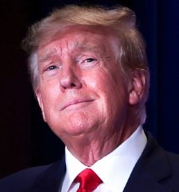 Occupy Democrats tweet media