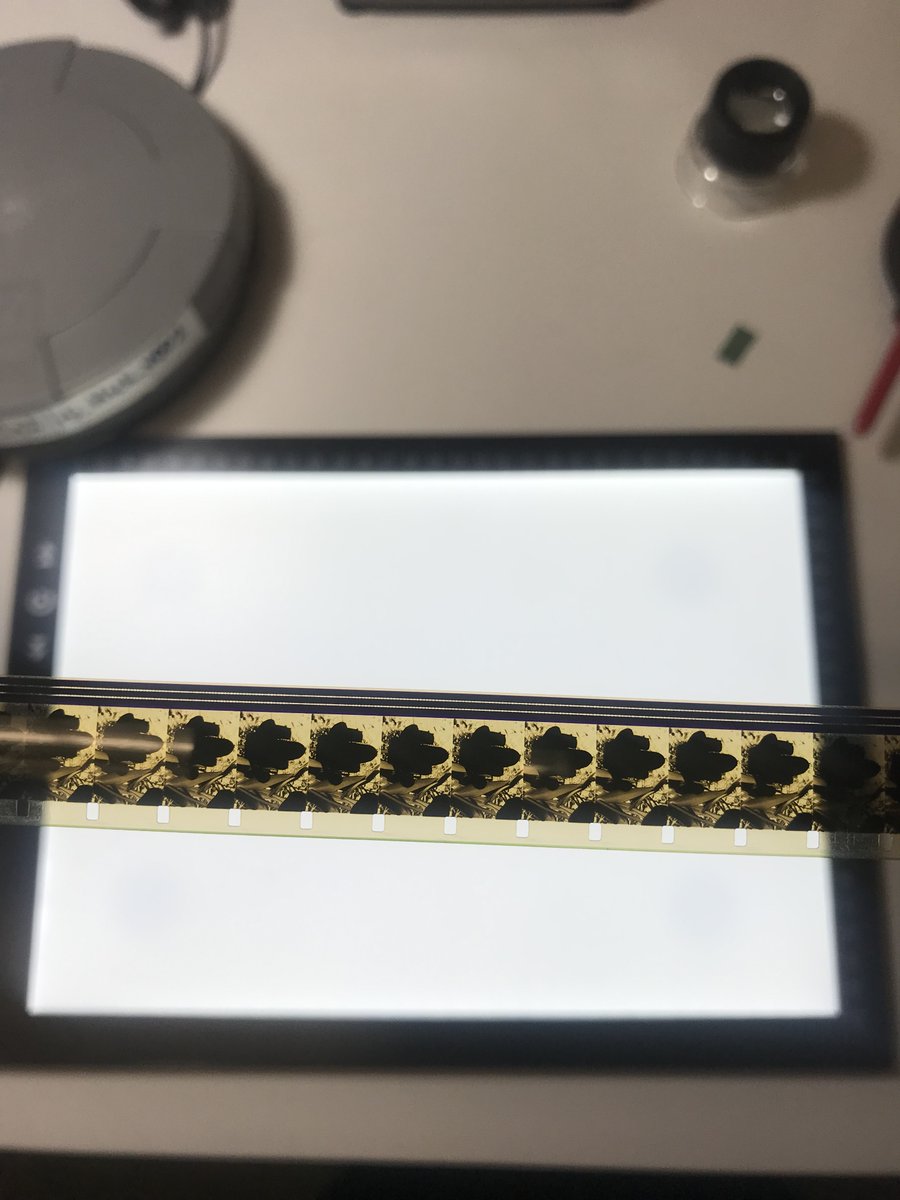 Patricia Ledesma Villon tweet media