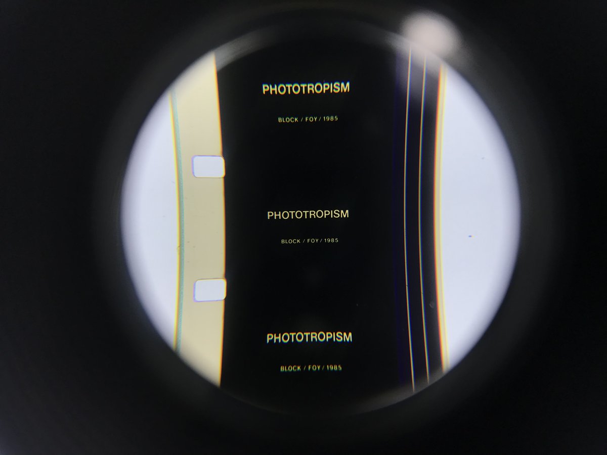 Patricia Ledesma Villon tweet media