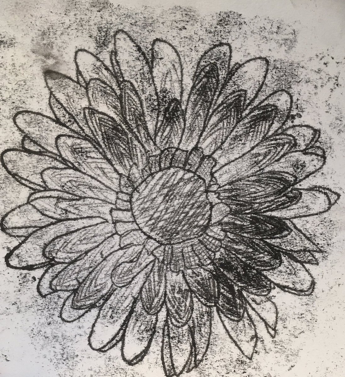 LoretoArt's tweet photo. Year 10 mono-printing outcomes for their GCSE βNatural Formsβ project! Inspired by Karl Blossfeldt. @loretochorlton
#karlblossfeldt #naturalforms #nature #monoprinting #printmaking https://t.co/ePX7TTdYq2