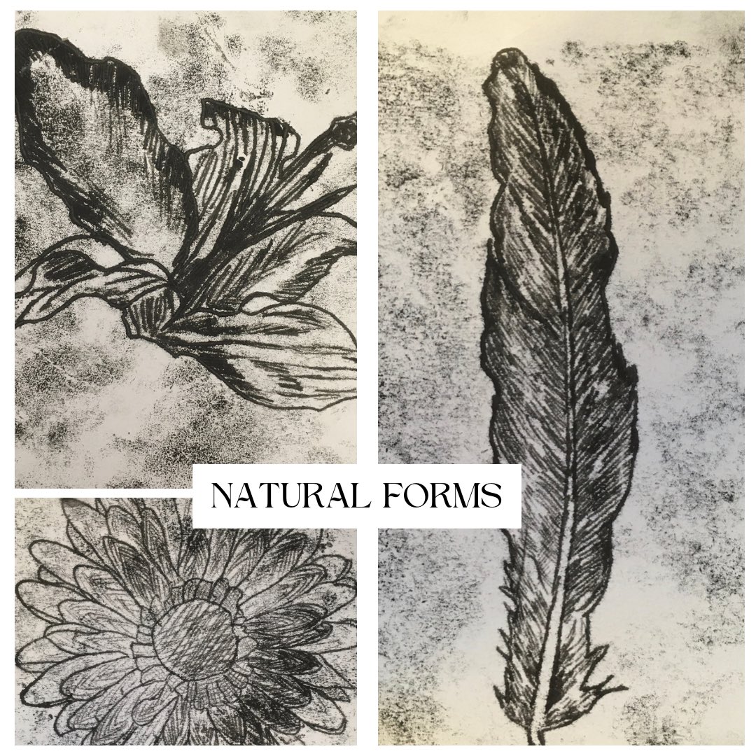 LoretoArt's tweet photo. Year 10 mono-printing outcomes for their GCSE βNatural Formsβ project! Inspired by Karl Blossfeldt. @loretochorlton
#karlblossfeldt #naturalforms #nature #monoprinting #printmaking https://t.co/ePX7TTdYq2
