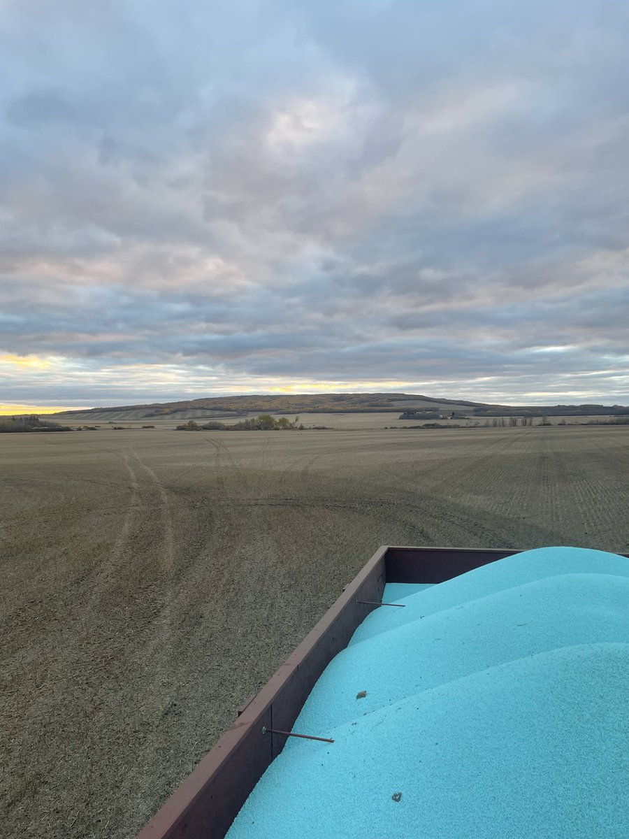 Mayor of Thunderhill 🇷🇺 tweet media