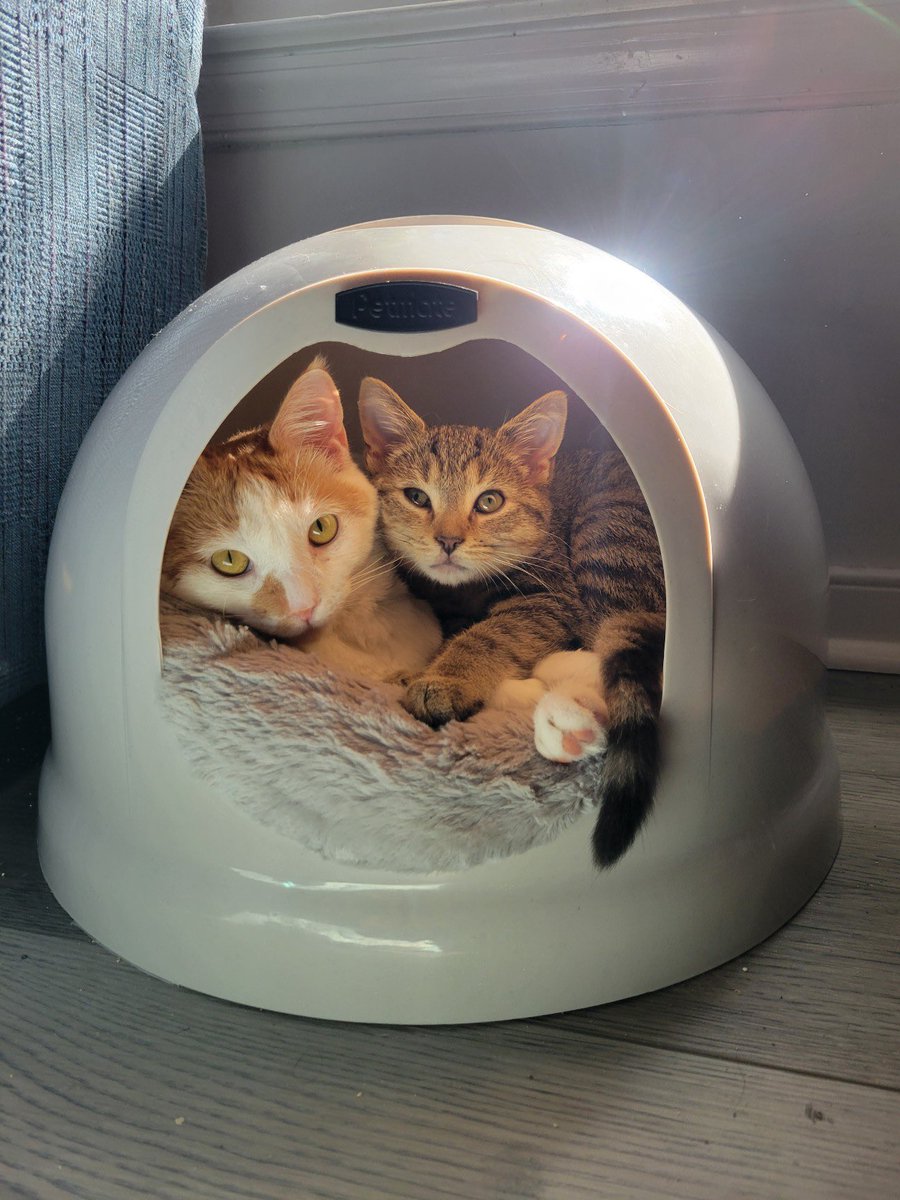 sorry do y’all SEE THIS