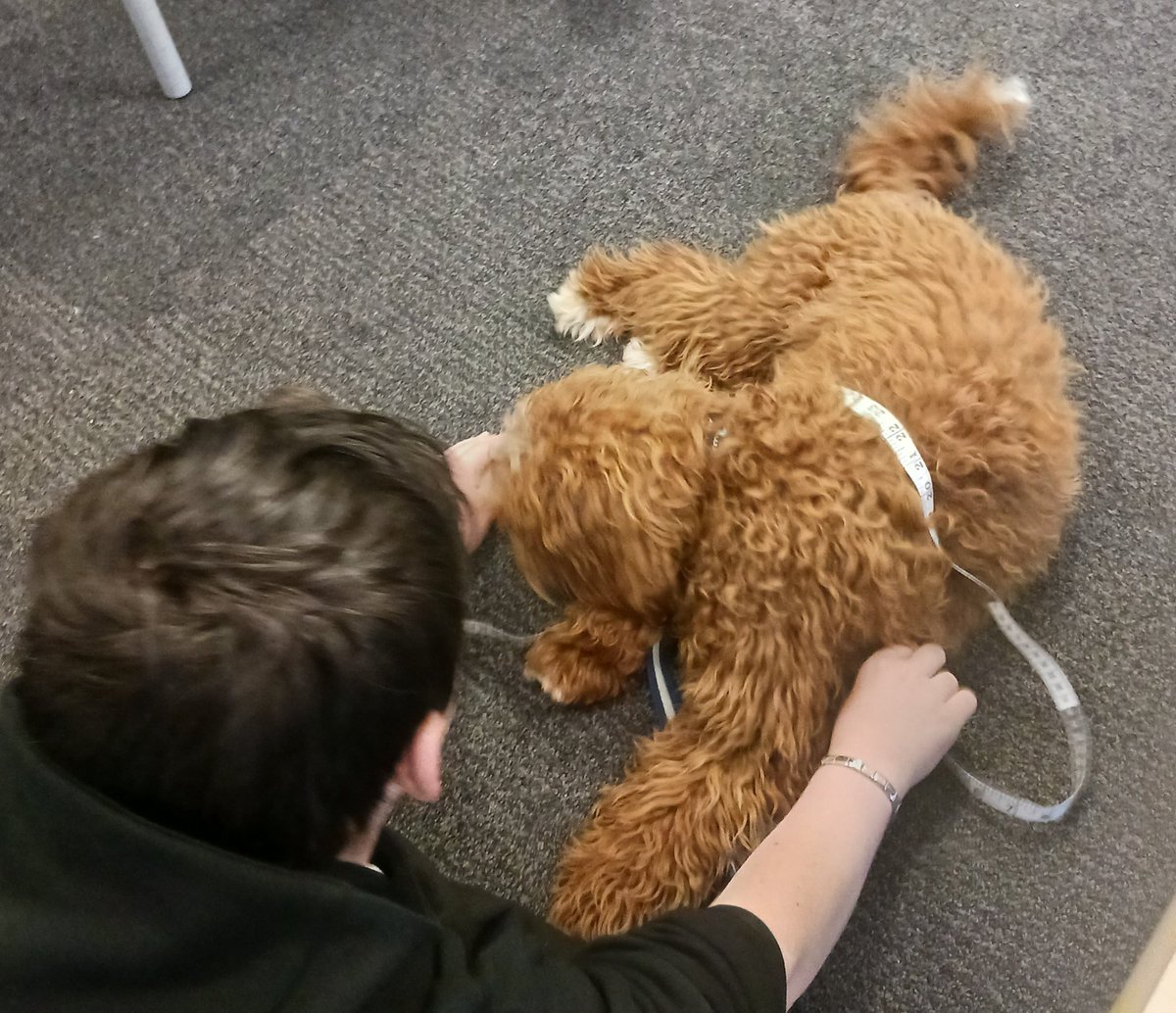 Mrs Mullan tweet media