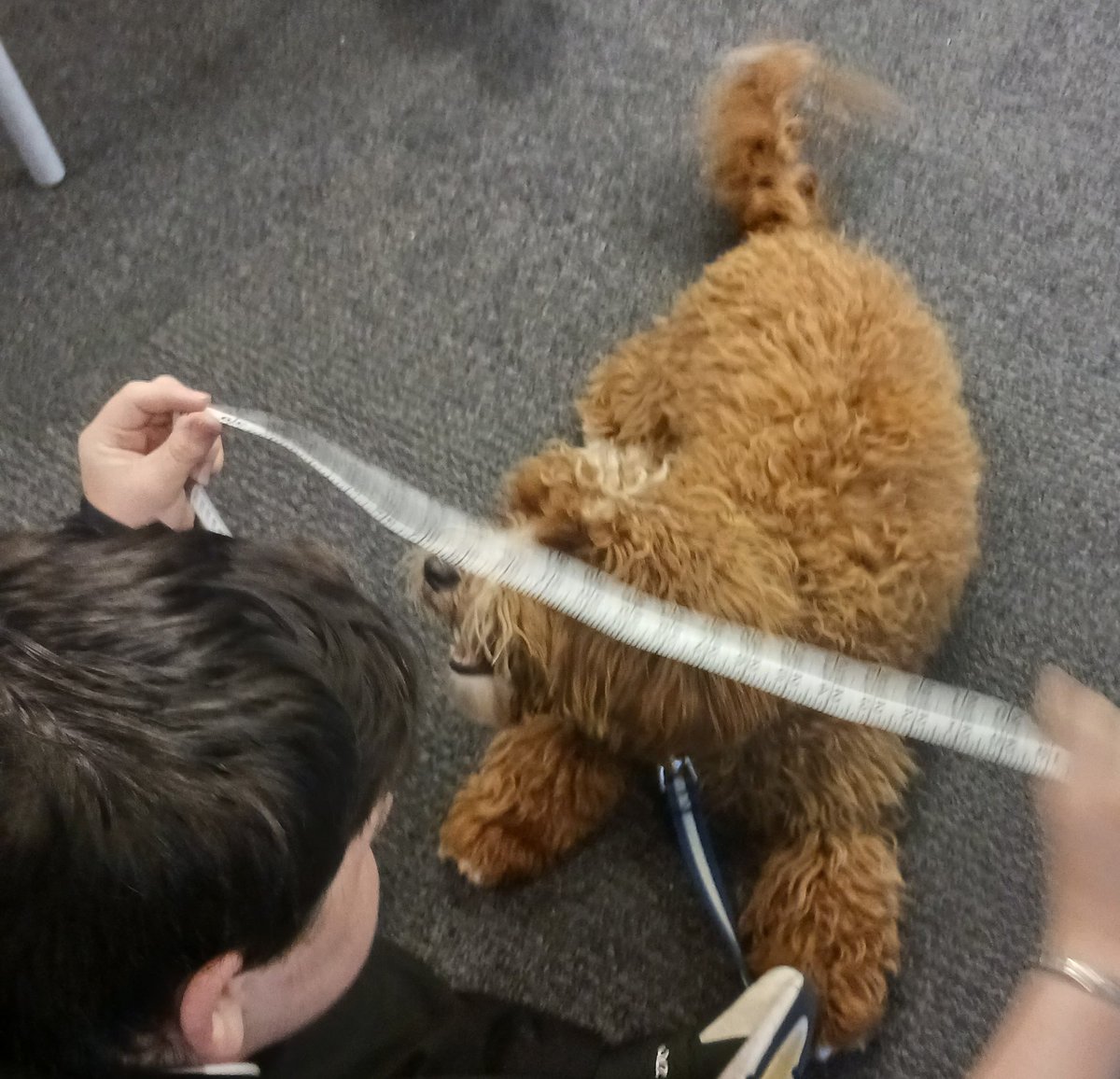 Mrs Mullan tweet media