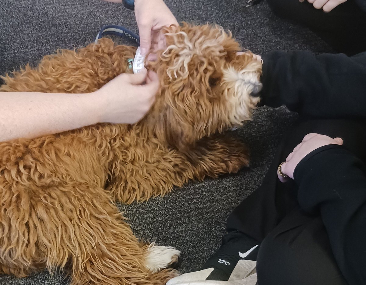 Mrs Mullan tweet media