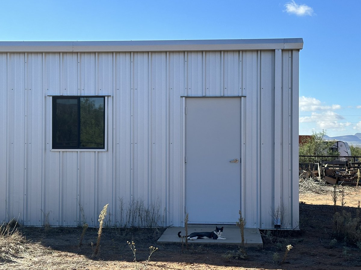rtoab's tweet photo. In today’s edition of “Larry Helps Around Here at the #ChaiBarRanch #inBisbee, AZ”. (Now with alt-text and less typos. 😅)
#catsoftwitter #catsofx #cats #catdistributionsystem #gato #cat #neko #chat #meow #thebazaartraveler #ranchlife #ranchcat #barncat #larrysizemore #acatslife https://t.co/pQsA4u8Pnq