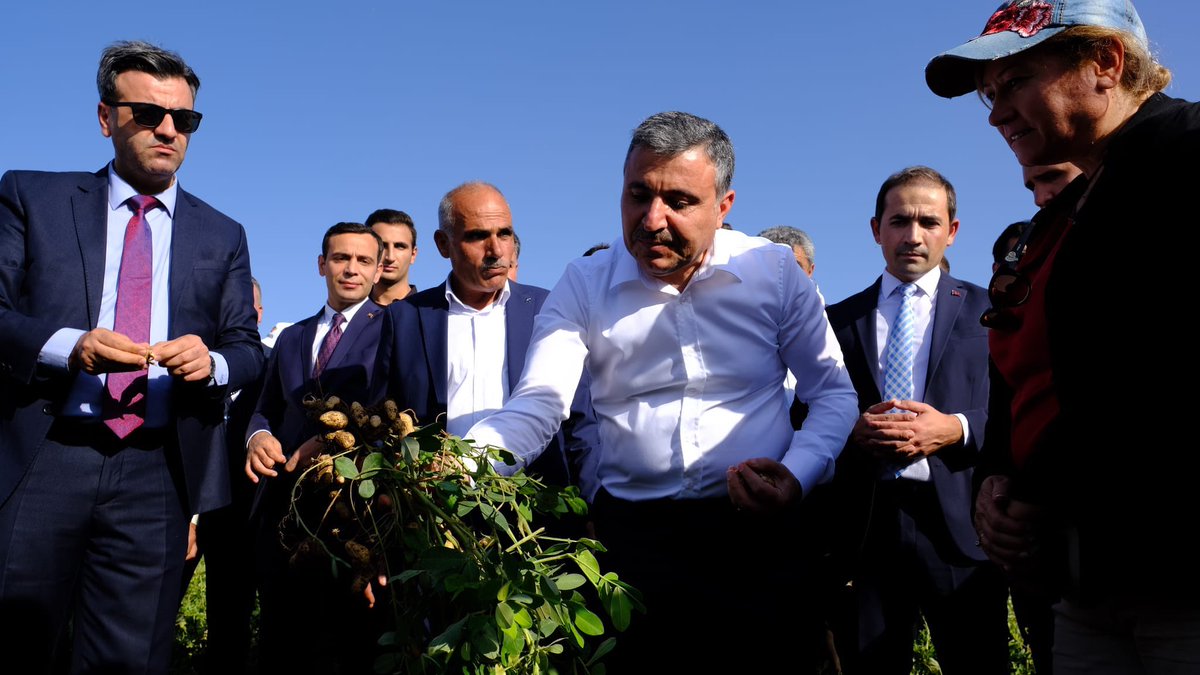 📍Silopi 

Valimiz Sayın Cevdet Atay,

İl protokolü, fıstık üreticileri ve vatandaşlarımızla birlikte, 2023 Silopi Yerfıstığı Hasat Şenliği'nde yeni sezonun ilk fıstık hasadını gerçekleştirdi. 

Vali Atay:💬

❝Yeni hasat döneminin Silopi ve Şırnak ekonomisine hayırlar