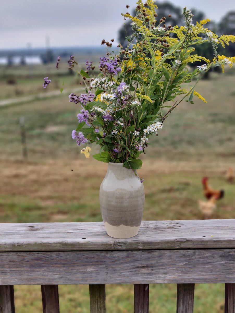 Handcrafted vase with fall wildflowers.    

Fired to cone 10.   The clay is Trinity's White Stoneware and the glaze is Ravenscrag Slip

#wheelthrown #wheelthrownpottery #wheelthrownceramics #pottery #ceramics #handmade #homemade #kilnfired #handmadeceramics #handmadepottery