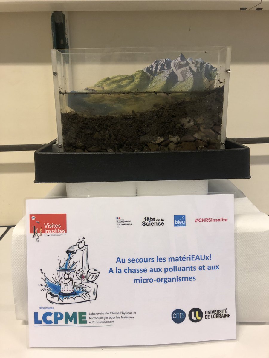 LCPME - UMR 7564 tweet media