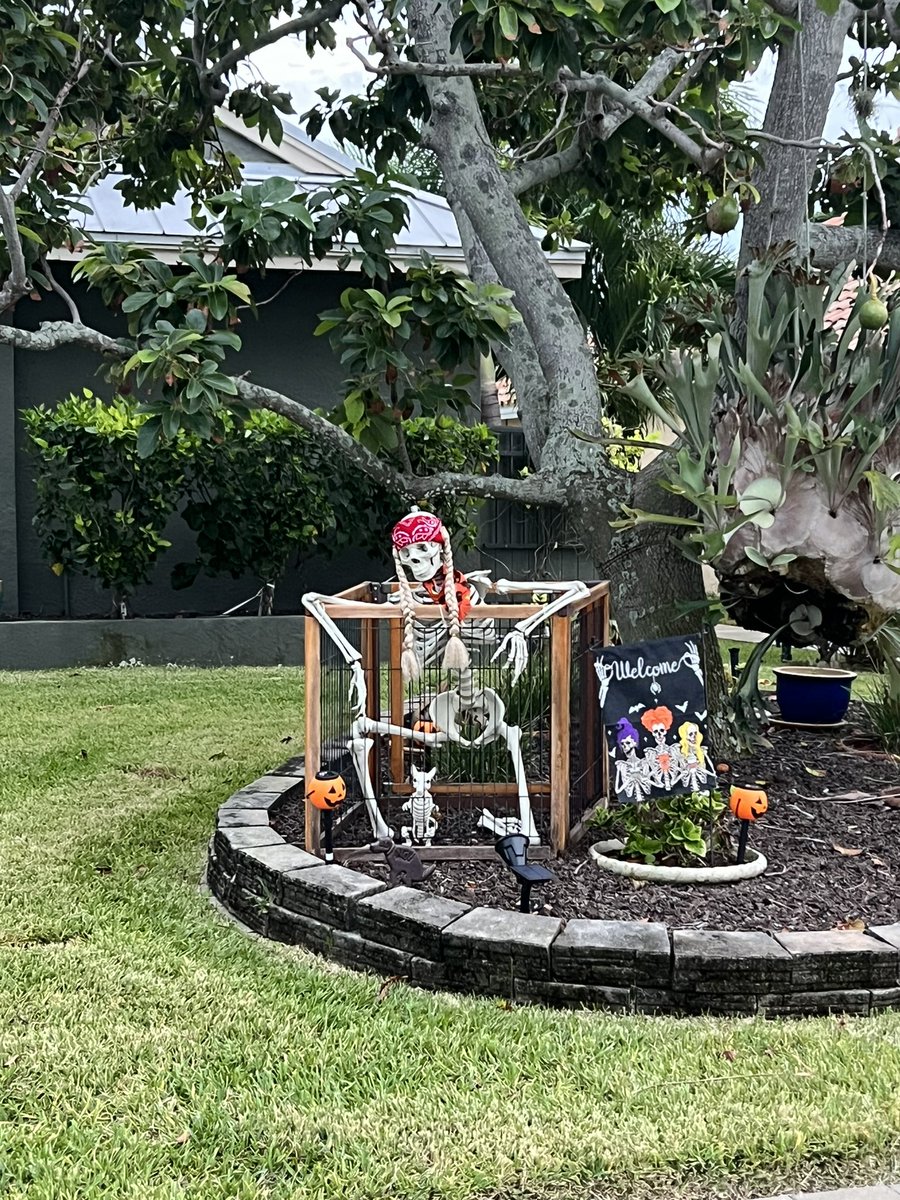 This time of year is one of my faves for running! There’s nothing better than finding fun haunts along the way - even a skeleton Willie Nelson makes it more fun!